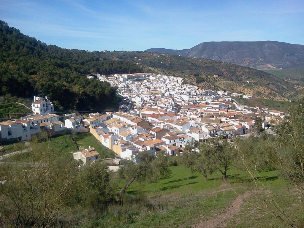 Los Cazadores Bed and Breakfast El Gastor Buitenkant foto
