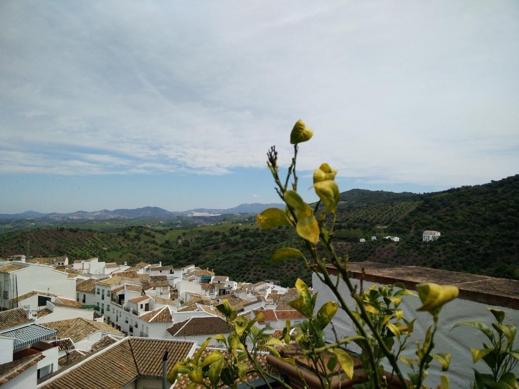Los Cazadores Bed and Breakfast El Gastor Buitenkant foto