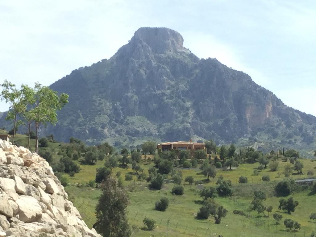 Los Cazadores Bed and Breakfast El Gastor Buitenkant foto